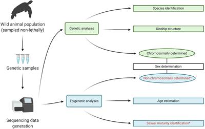 Epigenetic Measurement of Key Vertebrate Population Biology Parameters